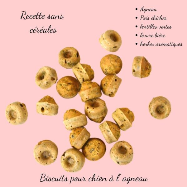 Biscuits naturels pour chien-sans-céréales-crocandiz