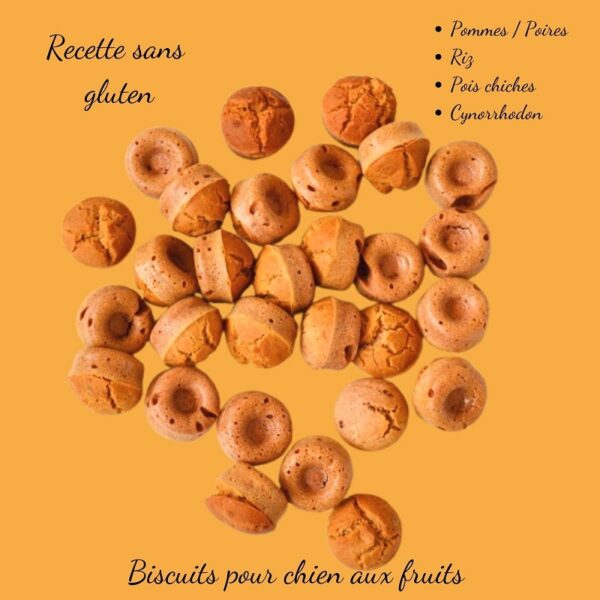 Biscuits-naturels-pour-chien-aux-fruits-crocandiz