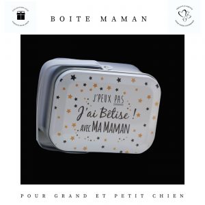 Boite-maman-biscuits-chiens-crocandiz