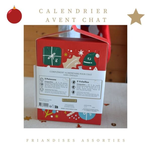 calendrier-avent-chat- friandises-2 recettes -crocandiz