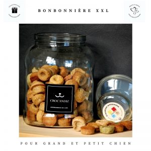 Bonbonnière-xxl-grand-biscuits-petit-chien-crocandiz