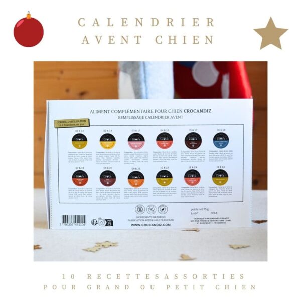 calendrier-avent-chien-10 recettes-crocandiz