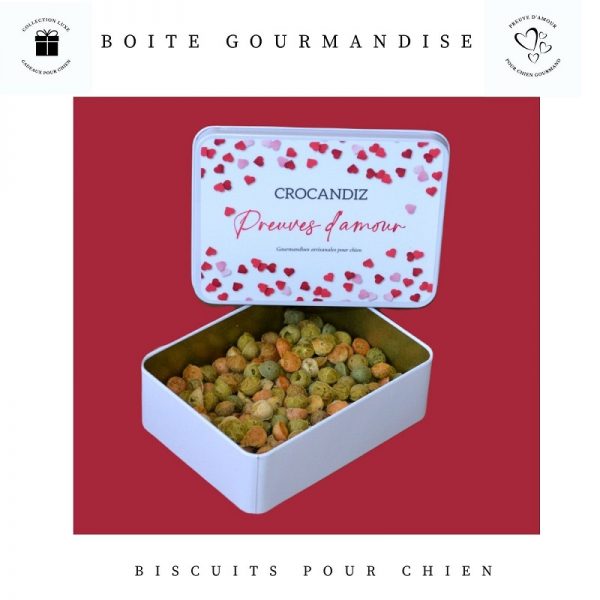Boite-cazdeau-biscuits-chiens-crocandiz