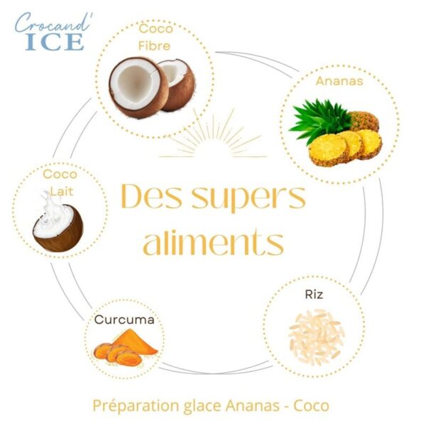 supers-aliments-glace-chien-ananas-coco-crocandiz