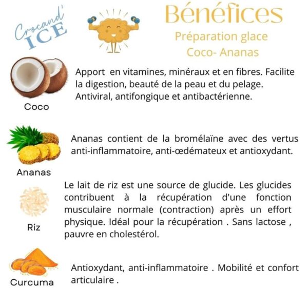 bienfaits-aliments-glace-chien-crocandiz