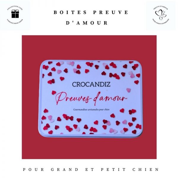 Boite-biscuits-chiens-crocandiz