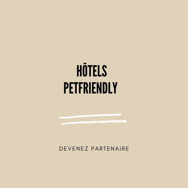 Hotels petfriendly