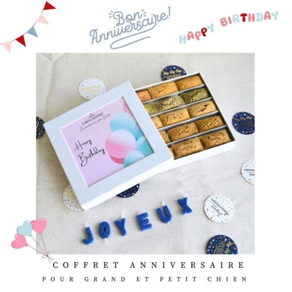 coffret-anniversaire-chien-crocandiz-ballons