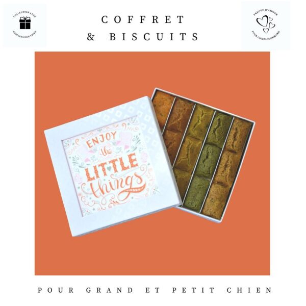 Coffret-cadeau-chien-crocandiz