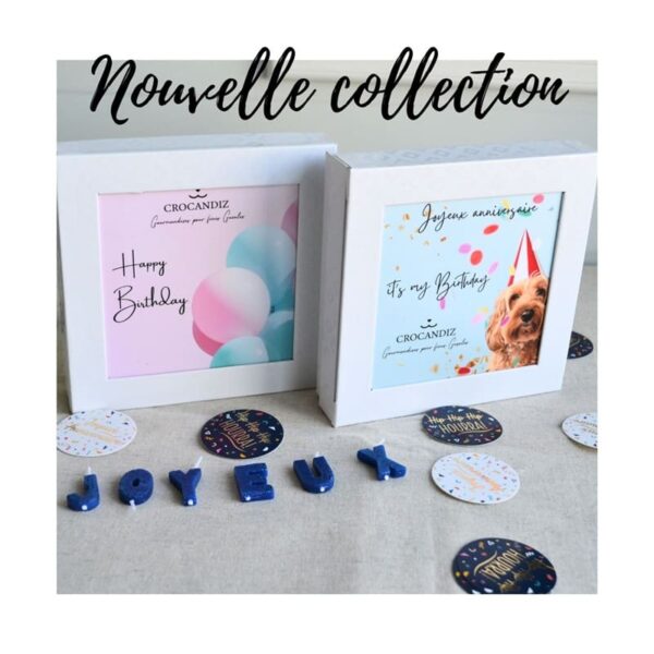 coffret-anniversaire-chien-biscuits-crocandiz