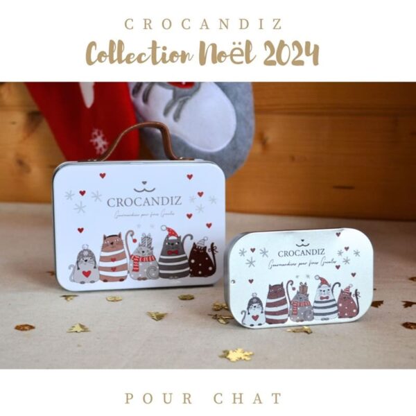 Collection-chat-noel-friandises-crocandiz