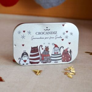 Boite-noel-friandises-chat-crocandiz