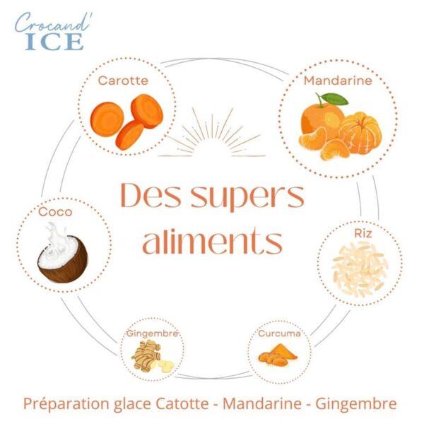 Supers-aliments-glace-chien-crocandiz