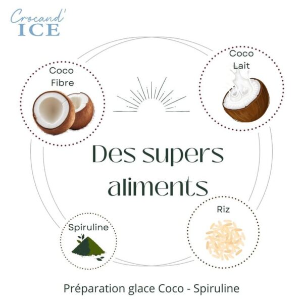 supers-aliments-glace-pour-chien-coco-spiruline-crocandiz