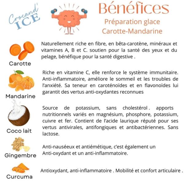 bienfaits-ingrédients-glace-chien-crocandiz