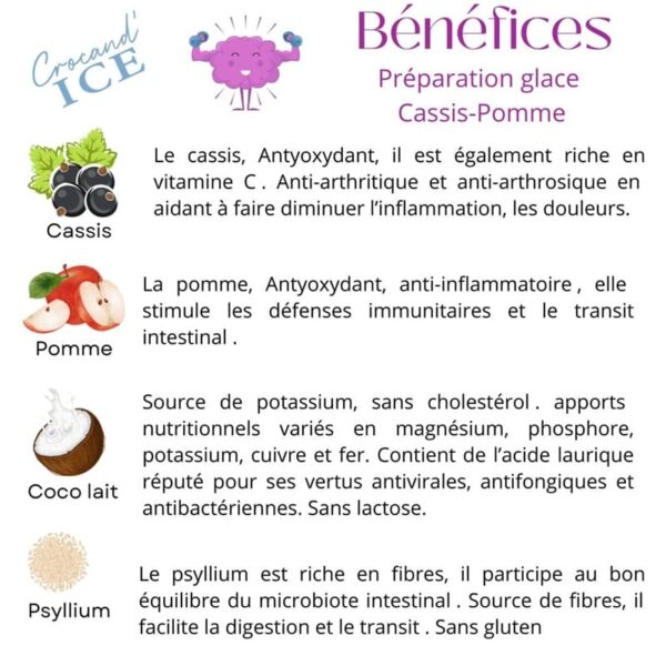 bienfaits-ingrédients-glace-chien-crocandiz