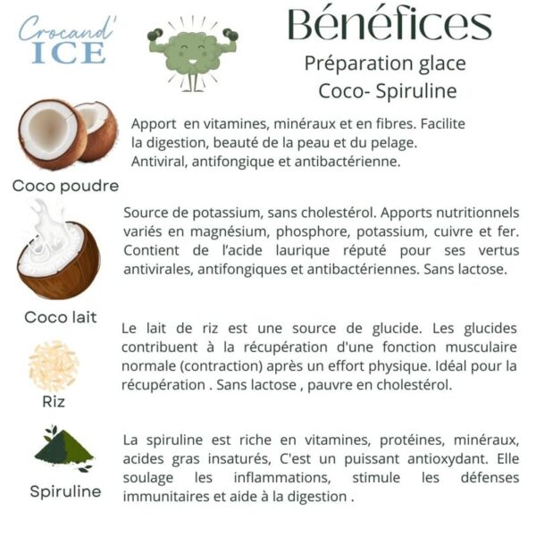 bienfaits-ingrédients-glace-chien-coco-spiruline-crocandiz