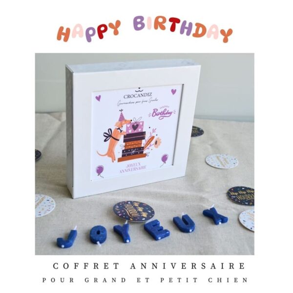 Coffret-anniversaire-chien-crocandiz