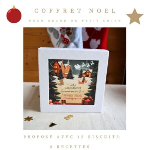 Coffret-luxe-maisons-noel-Crocandiz