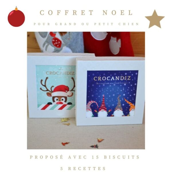 Coffret-luxe-noel-biscuits-chien-crocandiz