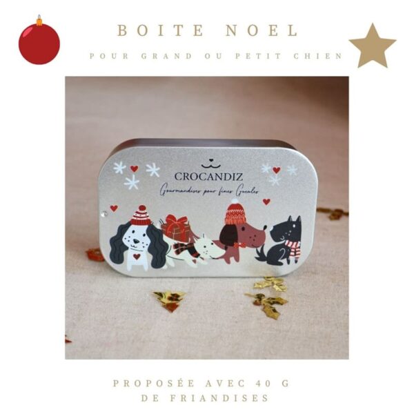 boite-noel-biescuits-chien-crocandiz