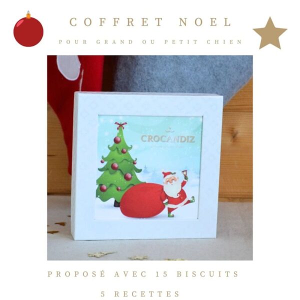 Coffret-noel-biscuits-chien-crocandiz