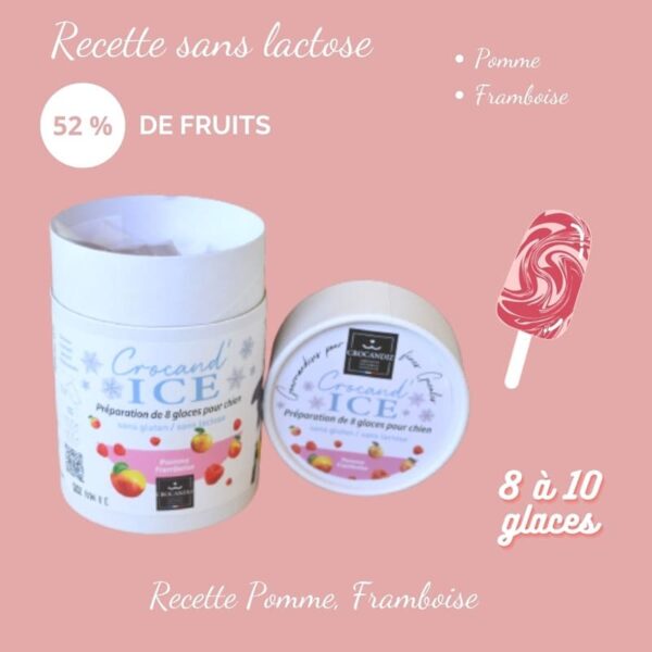 Glace-chien-chat-pomme-framboise