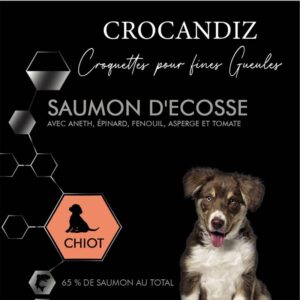 croquettes-premium-saumion-chiot-crocandiz