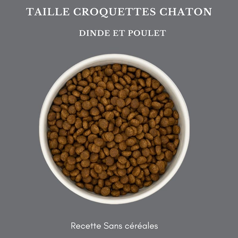 quantité de croquettes pour un chaton de 2 mois