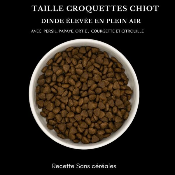 Taille-croquettes-chiot_dinde-crocandiz