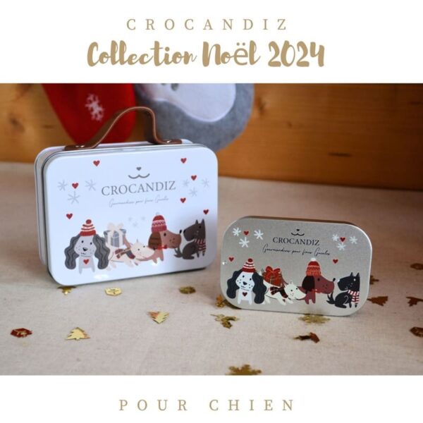 boites-noel-biscuits-chien-crocandiz