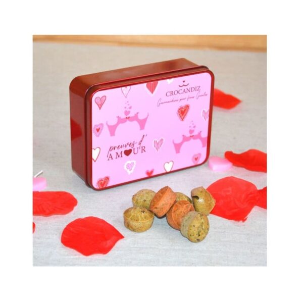 Boite-biscuits-chien-crocandiz-décors-preuve-d'amour-rose