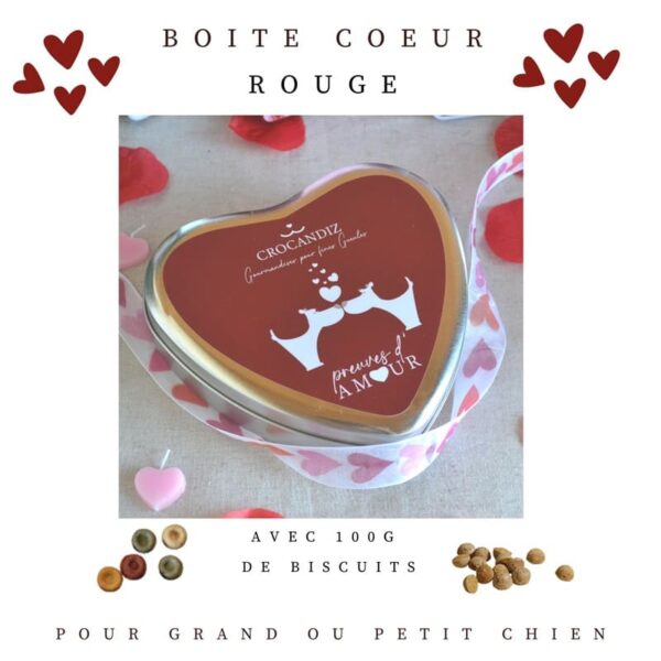 Collection preuves d'amour-biscuits chien-crocandiz