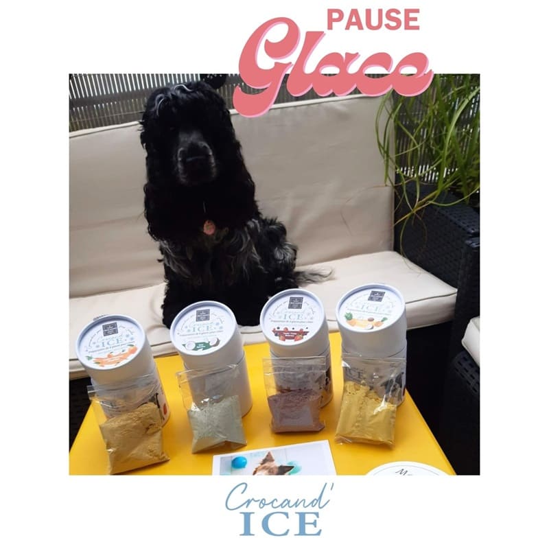 Préparation-glace-pour-chien-crocandiz