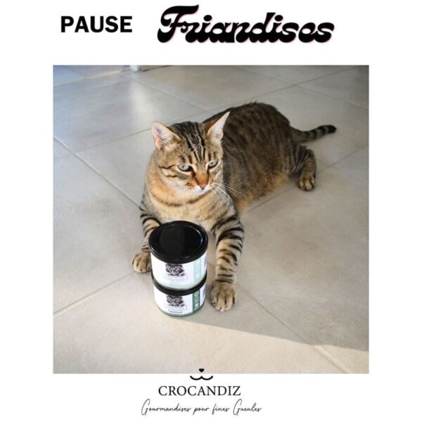 Friandises-chat-relaxante-crocandiz