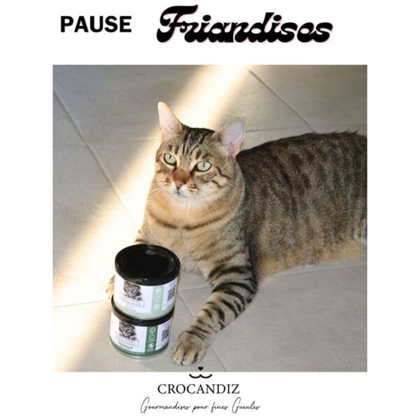 fraidises-immunité-chat-crocandiz