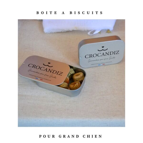 Boite-biscuits-grand-chien-crocandiz