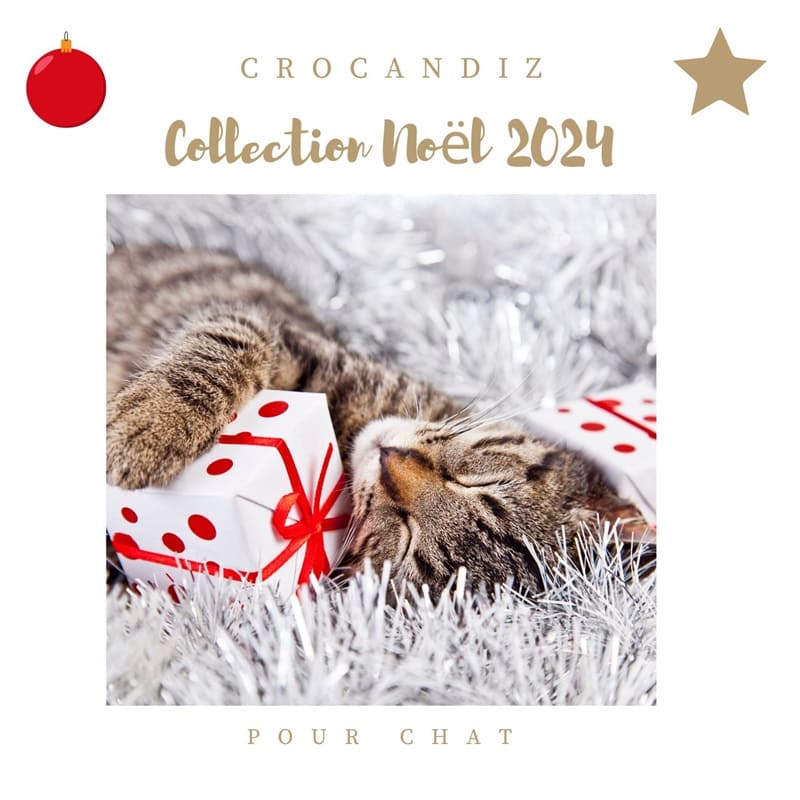 Cadeaux-noel-chat-crocandiz