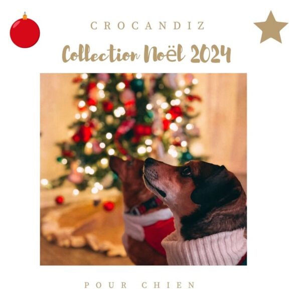 cadeaux-noel-chien-crocandiz