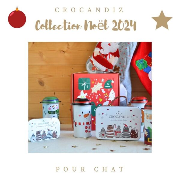 Noel-chat-collection-crocandiz