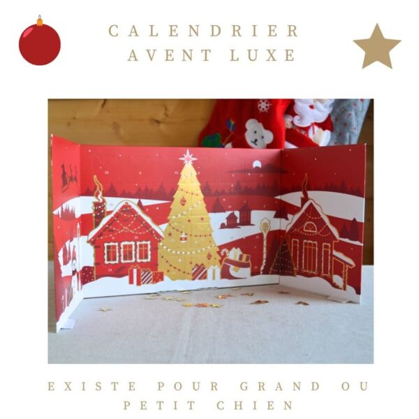 Calendrier-avent-chien-luxe-rouge-crocandiz