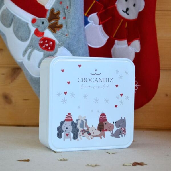 Boite biscuits pour chien Noel -Crocandiz