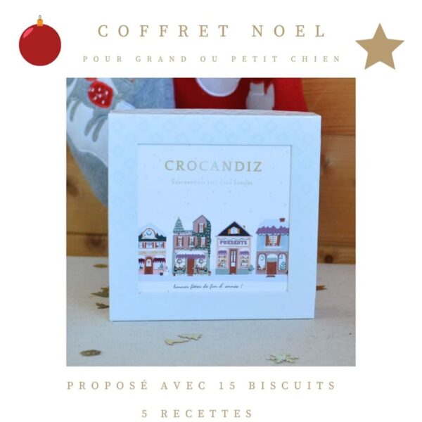 Coffret-biscuits-chien-noel-crocandiz