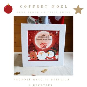 Coffret-biscuits-chien-noel-crocandiz