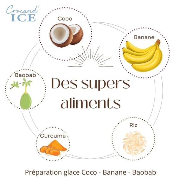 supers-aliments-glace-chien-crocandiz