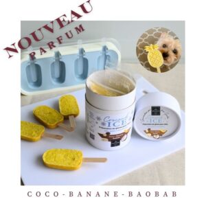 preparation-glace-chien-coco-banane-baobab