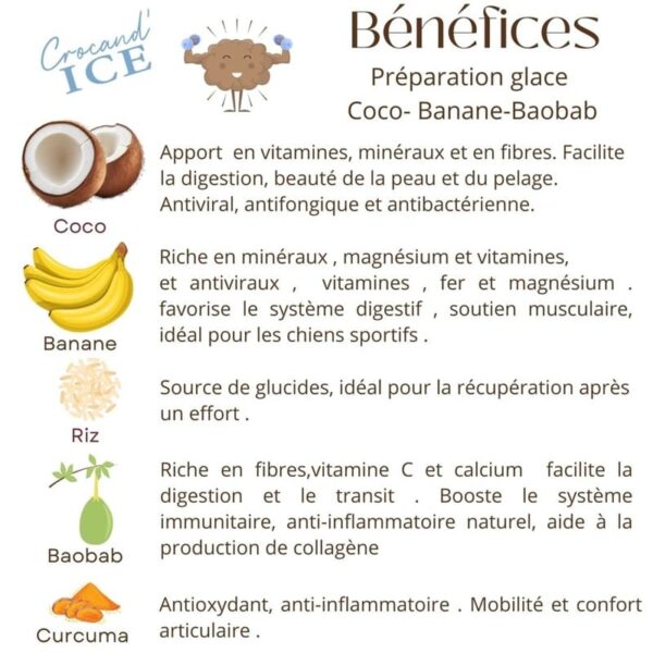 bienfaits-ingrédients-glace-chien-coco-banane