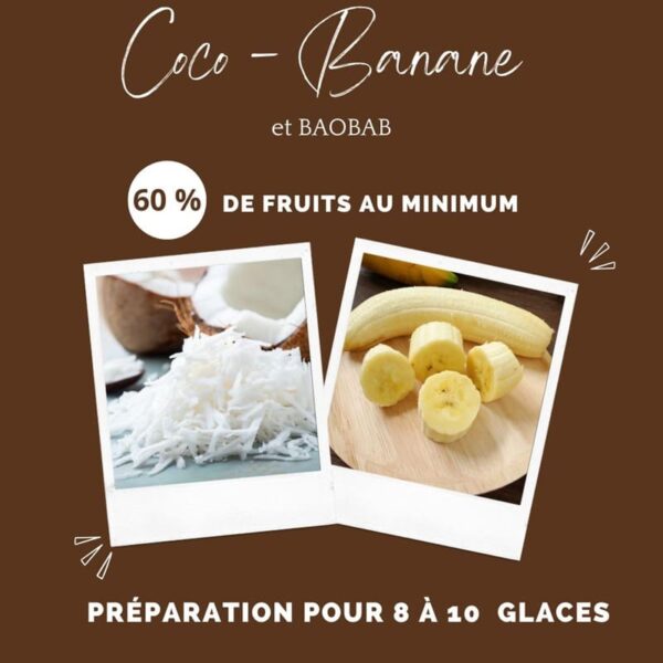 preparation-glace-chien-coco-banane-baobab