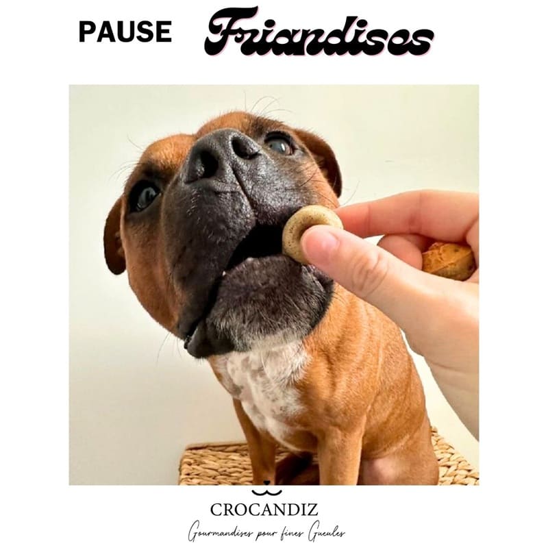 pause-gourmande-Friandise-chien-crocandiz friandises-pour-chien-made-in-france-crocandiz