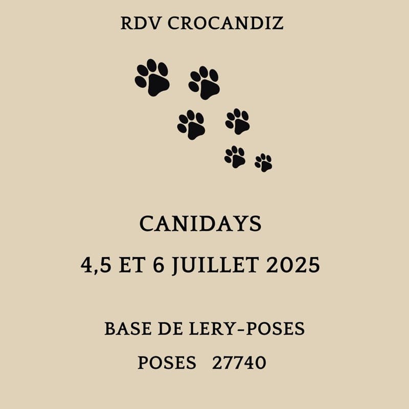 rencontre-crocandiz-RDV -Canidays rencontre -pour-chien-stand-crocandiz